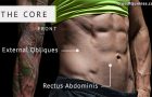 7 Exercices / Workouts pour des abdominaux sculptés et un tronc puissant !