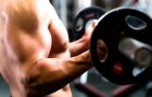 5 exercices pour développer vos biceps !